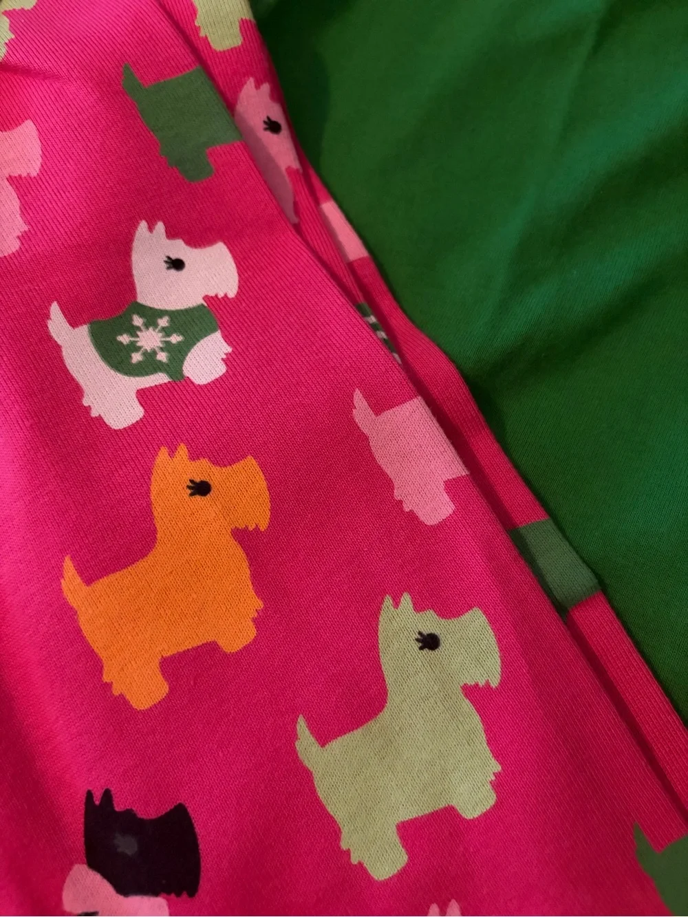 Gymboree Green Top NWOT with Pink Puppy-Print Leggings Set